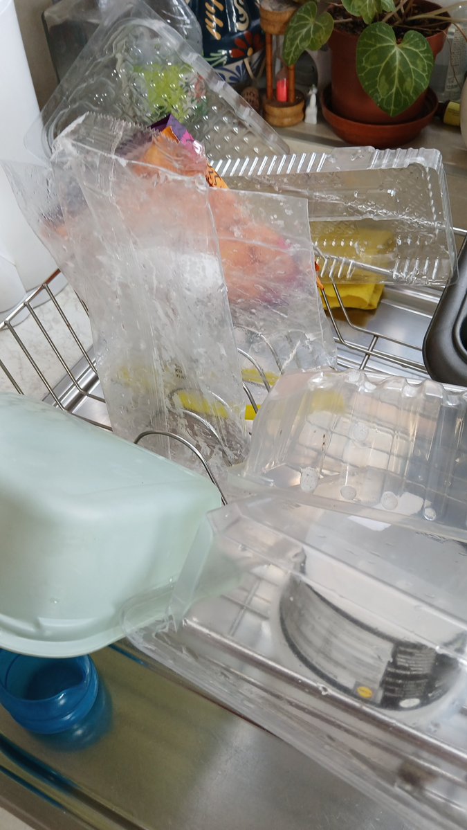 Scarfie1 🐎🐾🐾🐕✈️ tweet media