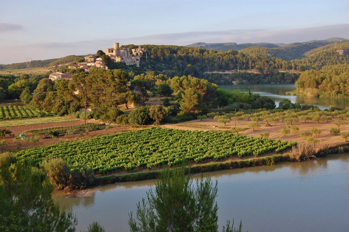 Societat d'Estudis Militars tweet media