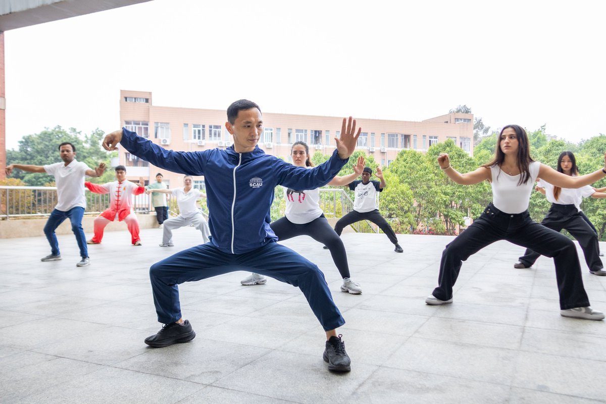 Study China tweet media