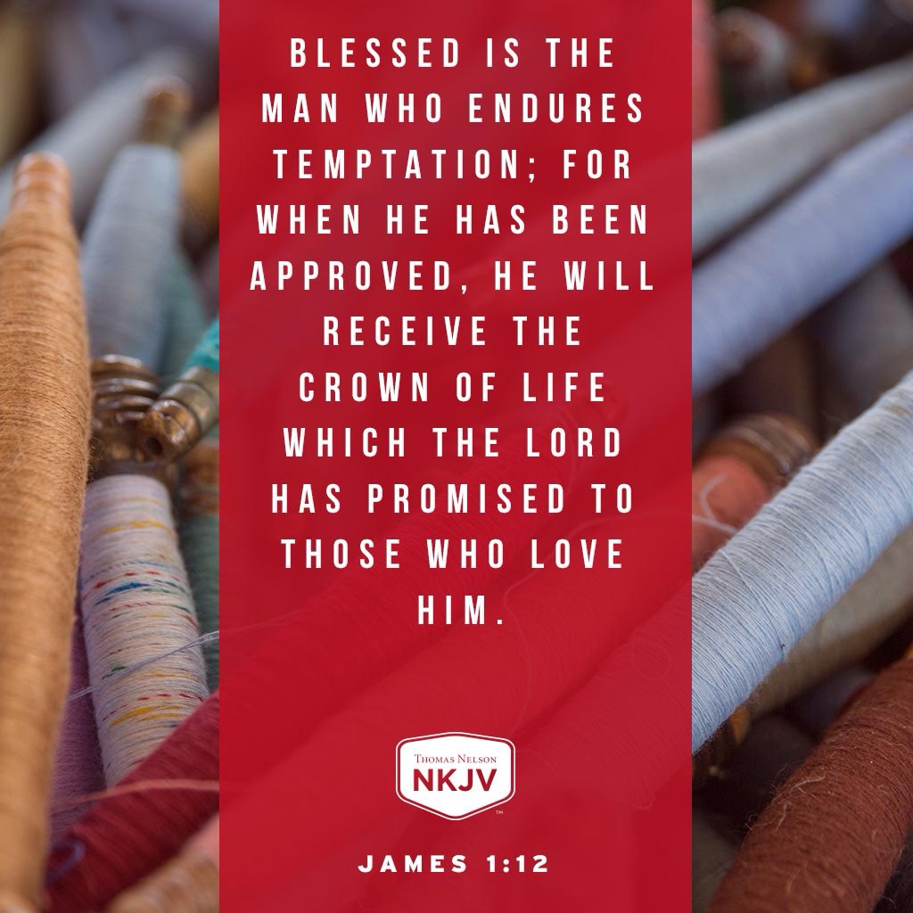 Tisa JD Clark tweet media