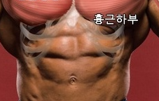 바르칼 락타르 tweet media