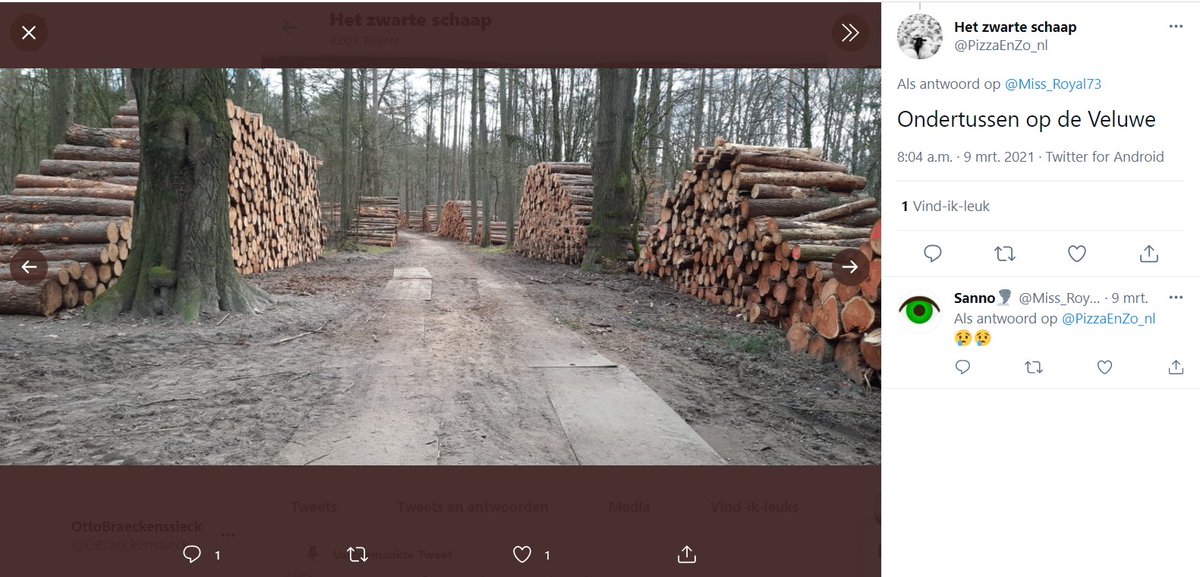 Otto von Braackenssieck tweet media