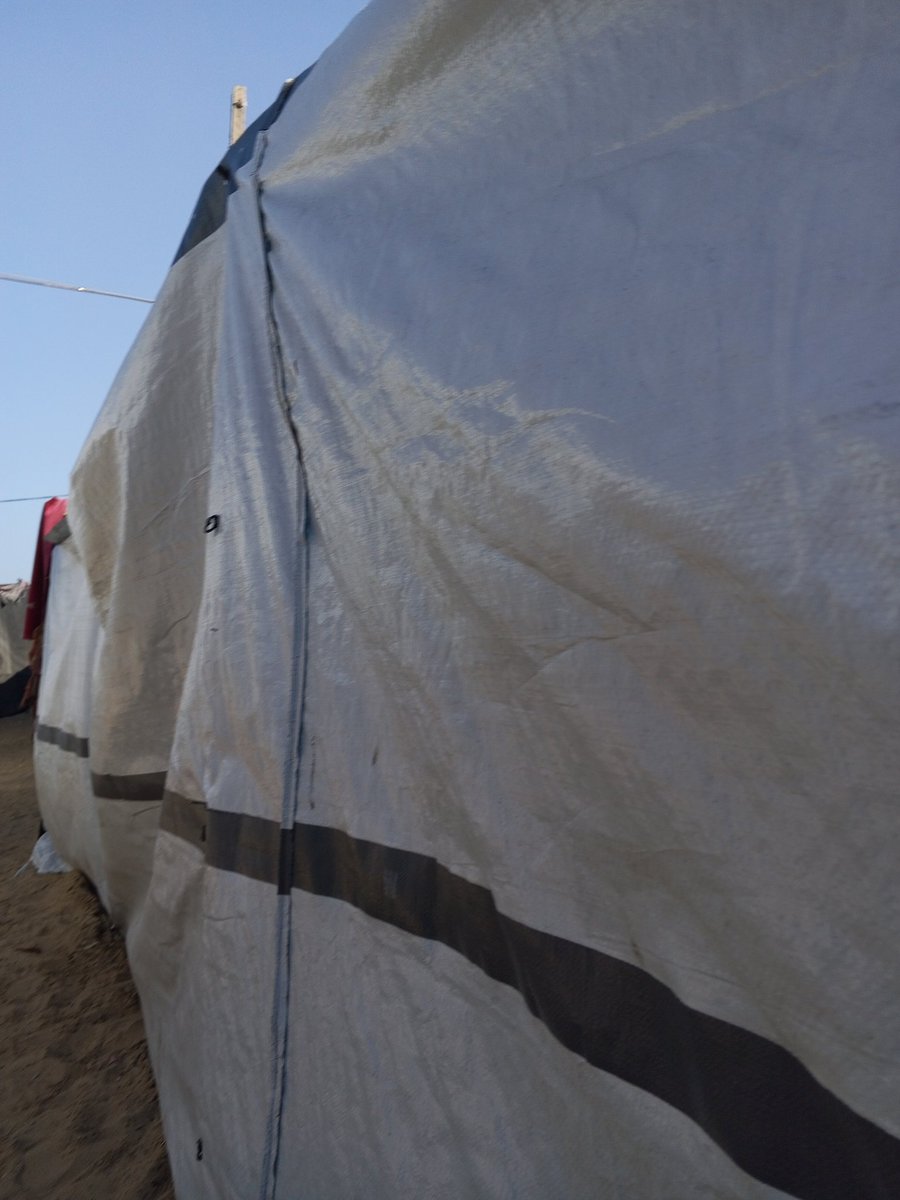 🍉layalay-Family 🇵🇸 tweet media