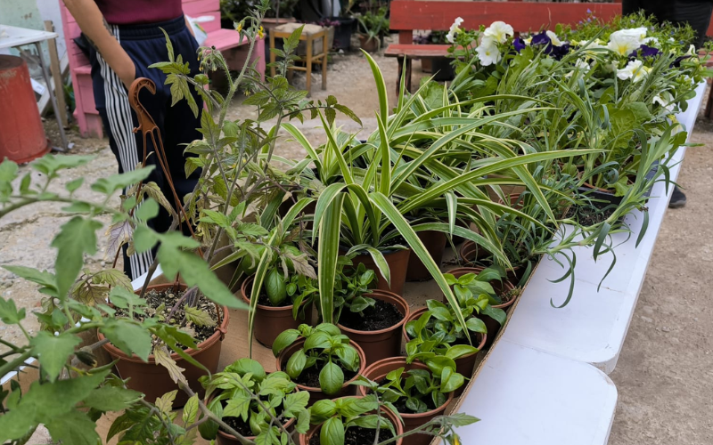 quefas.es tweet media