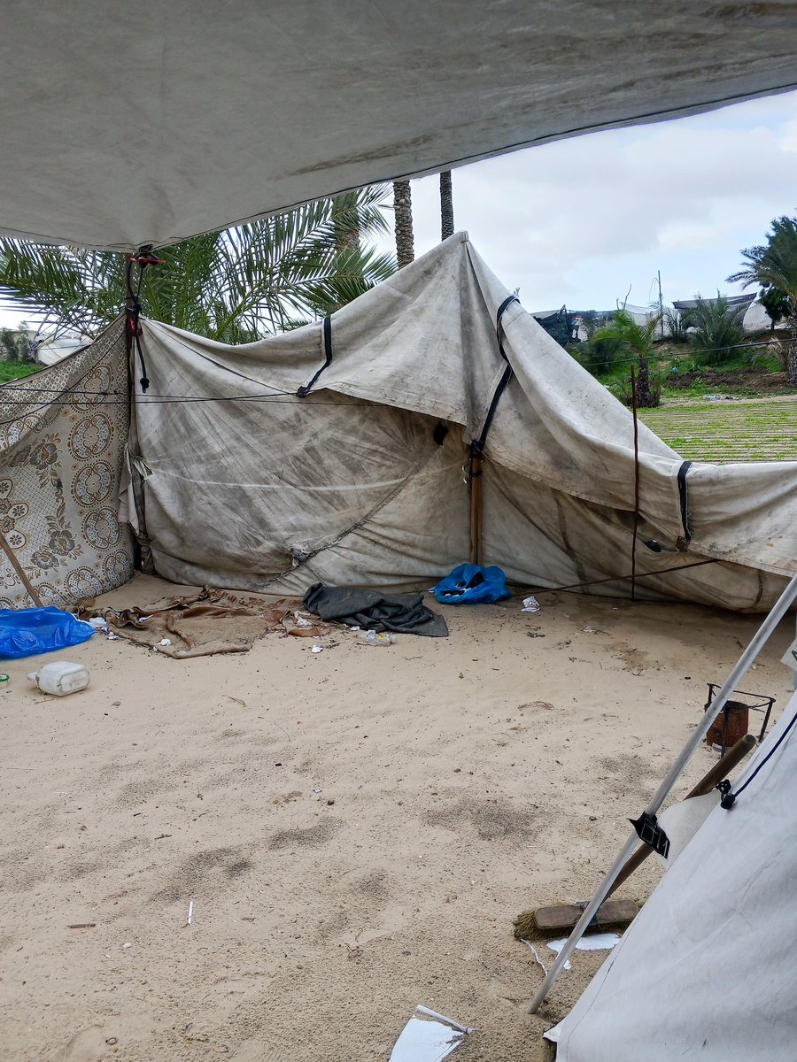 🍉layalay-Family 🇵🇸 tweet media