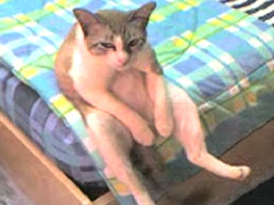 Lukildes tweet media