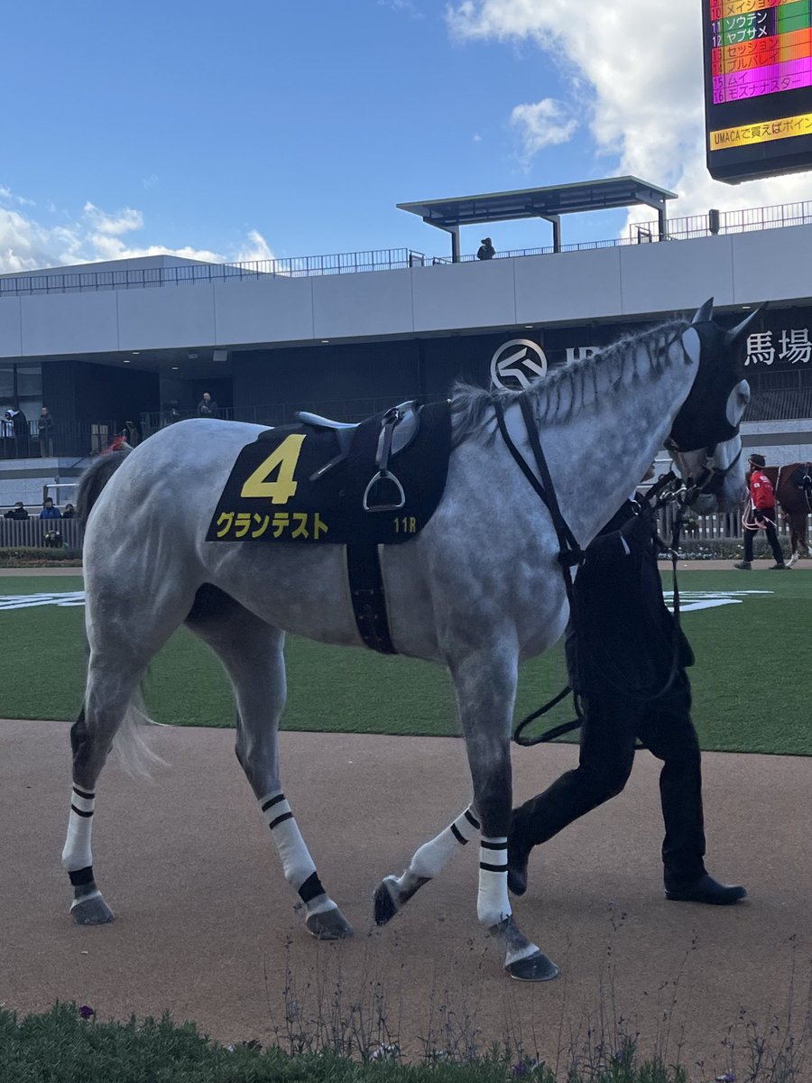 manyandest's tweet photo. 最後の最後に素敵な思い出ができて本当によかった🥹

グランテスト号を無事引退まで導いた今野貞一様、下河辺牧場様、厩務員様、その他関係者の皆様、心より御礼申し上げます。
グランテスト号と関係者の皆様に幸あれ。 https://t.co/X42Jsy5duK