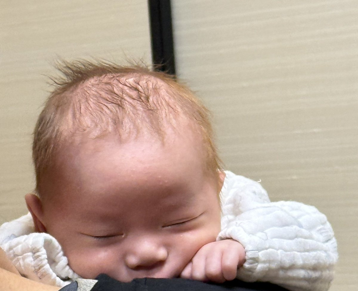 あんちゃんちーまる🐟🎃 tweet media