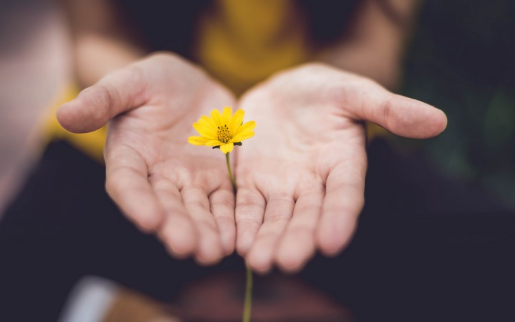 legalnewsfrance's tweet image. La réclamation de son dû par le donateur exclut l'intention libérale
#Successions #Réclamation #Donation #Donateur #Exclusion #IntentionLibérale
legalnews.fr/civil/successi…