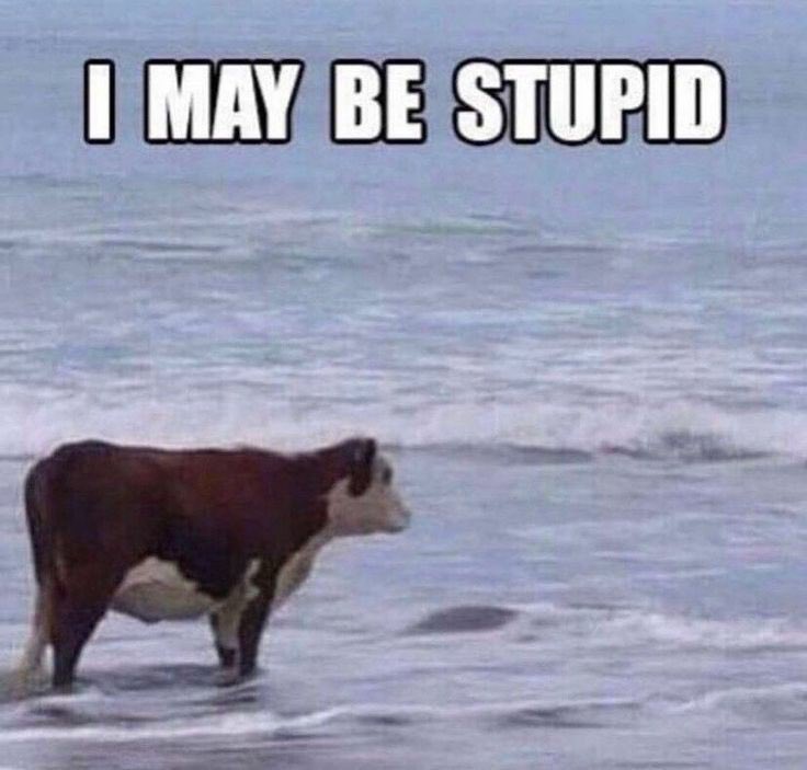 Little Boy Blue v2 tweet media