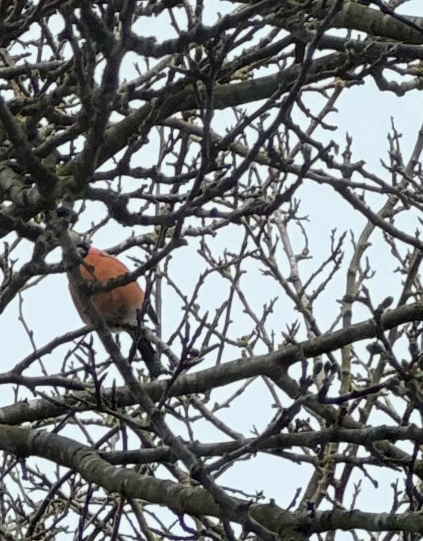 Rob Butterfield tweet media