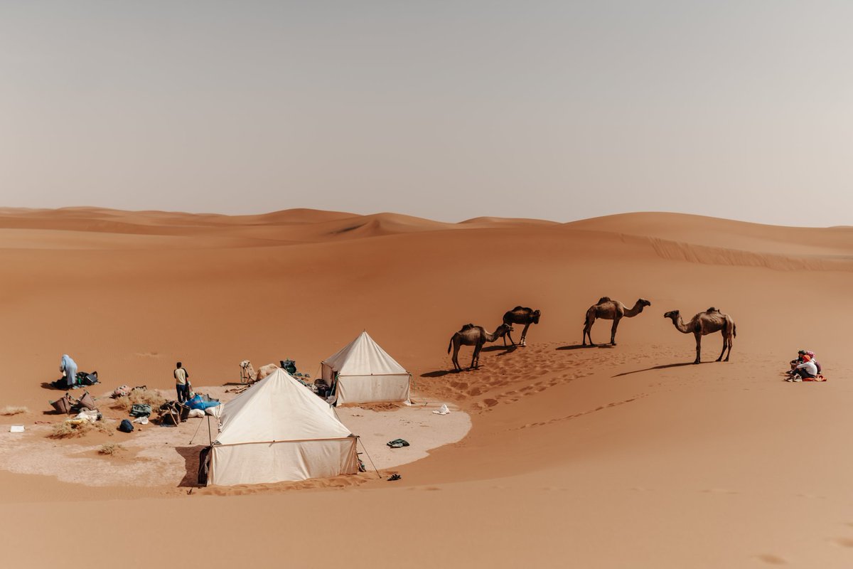 Dunia Travel tweet media