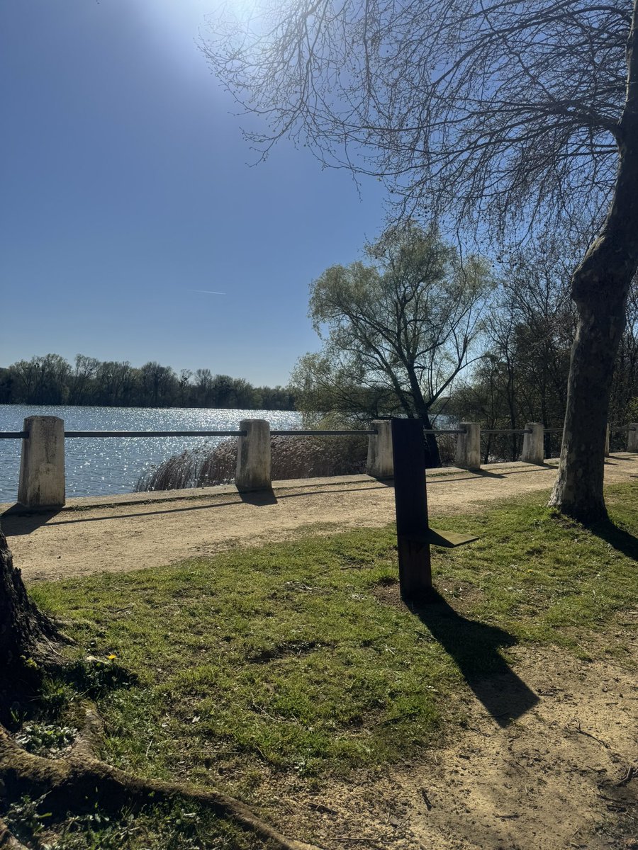 jorge pirès tweet media