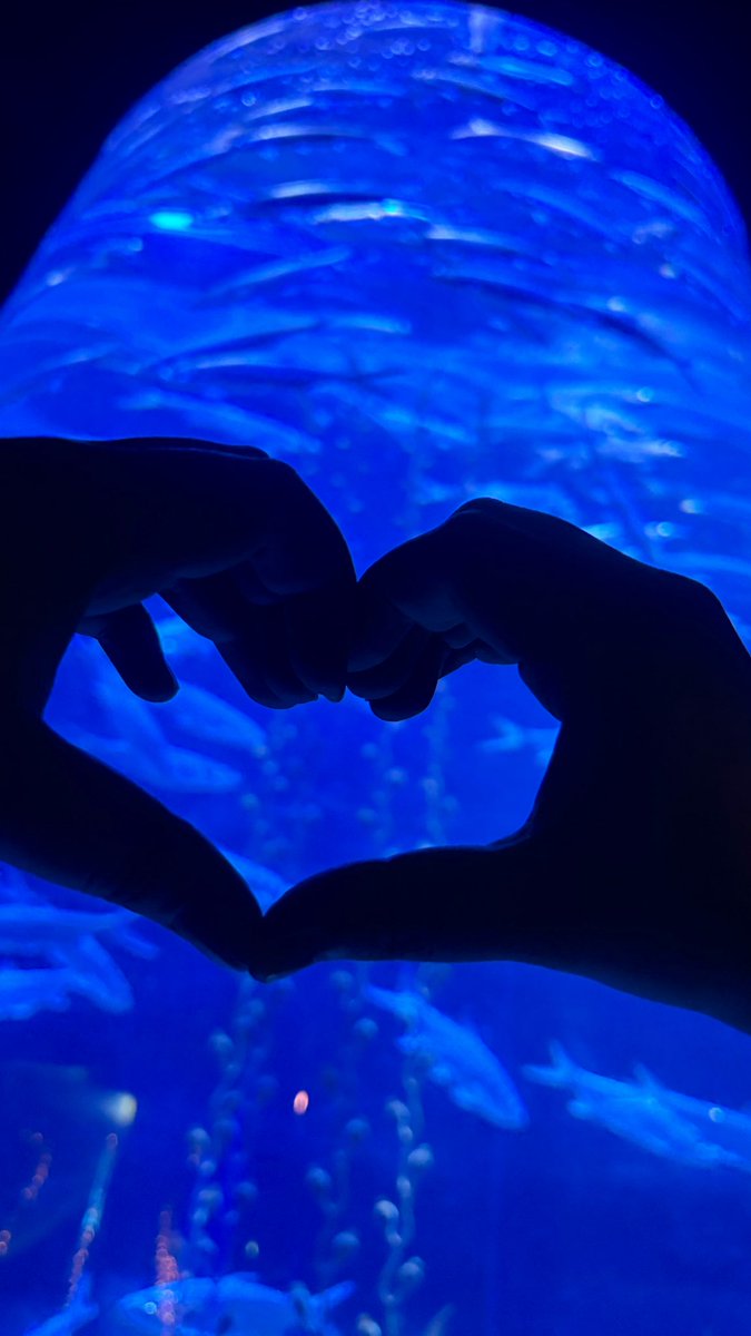 タカ ☔️🎄🐟 tweet media