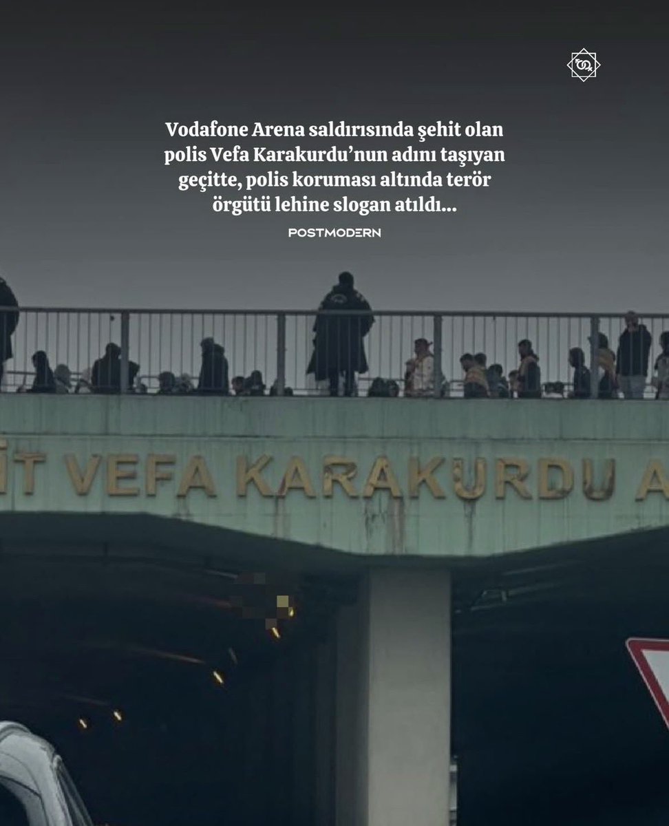 'BNE🏳️‍🌈 tweet media