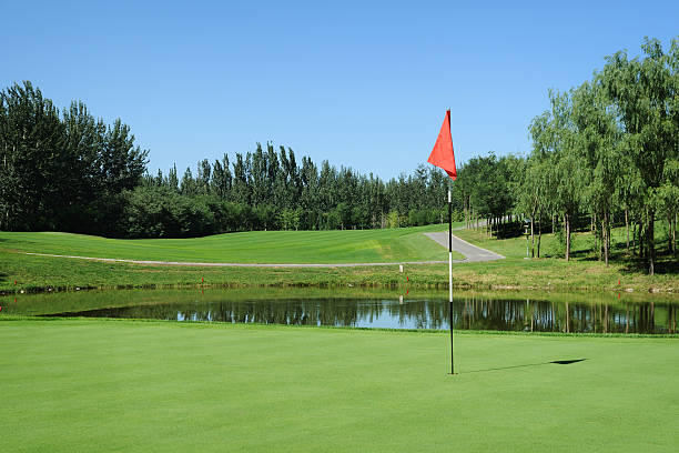 Unitedflags's tweet photo. Quality golf flags at the best price on the internet. From United Flags Ltd with over thirty years experiance. https://t.co/MLCfVZroXv https://t.co/M1KHNedHZz