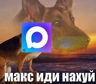 максим tweet media