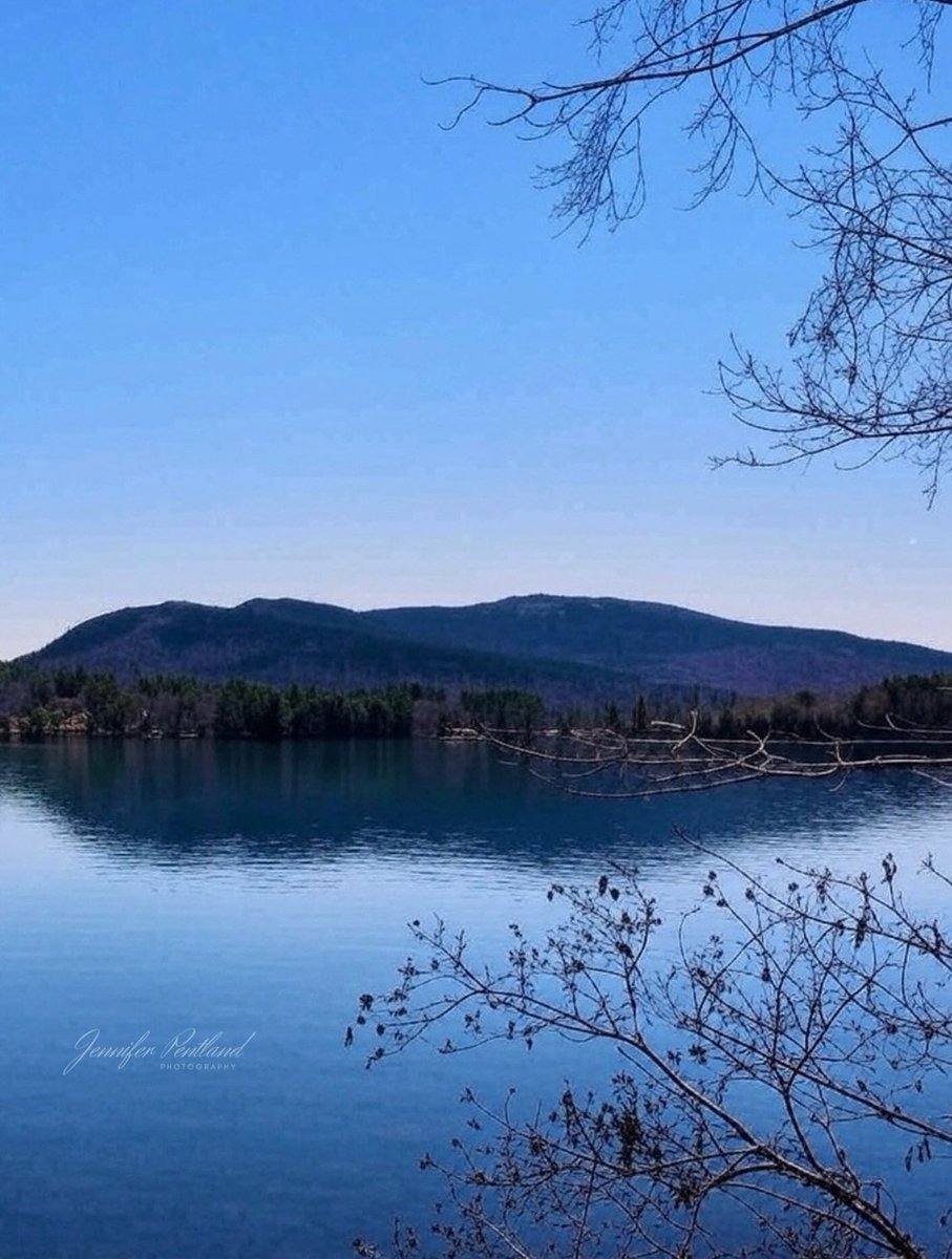 Jennifer tweet media