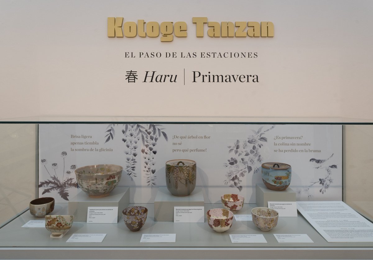 Museo de Zaragoza tweet media