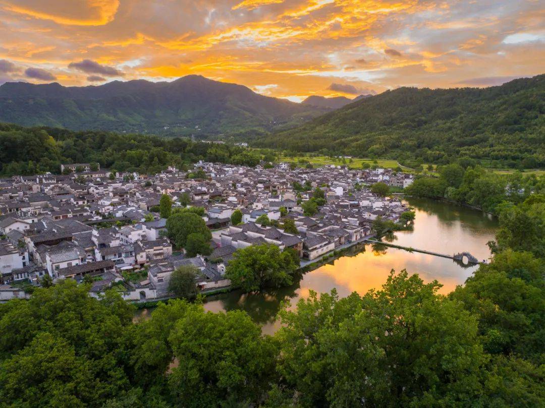 Marcuss Warner tweet media