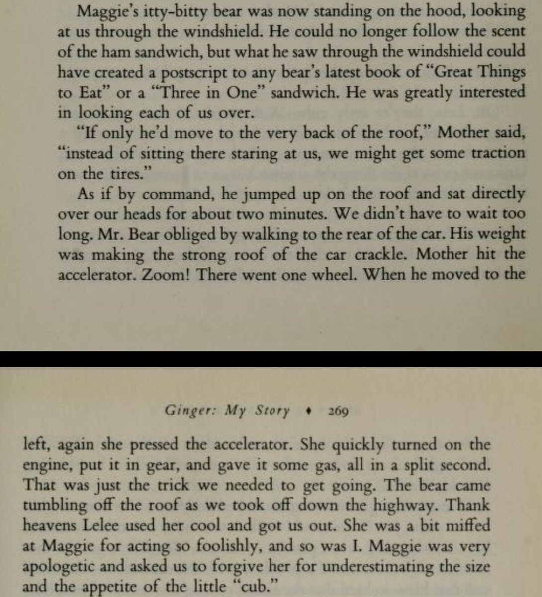 cat 💌 tweet media