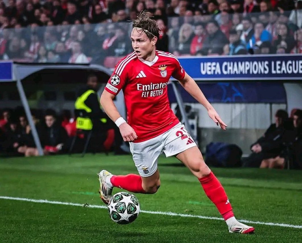 صالح tweet media