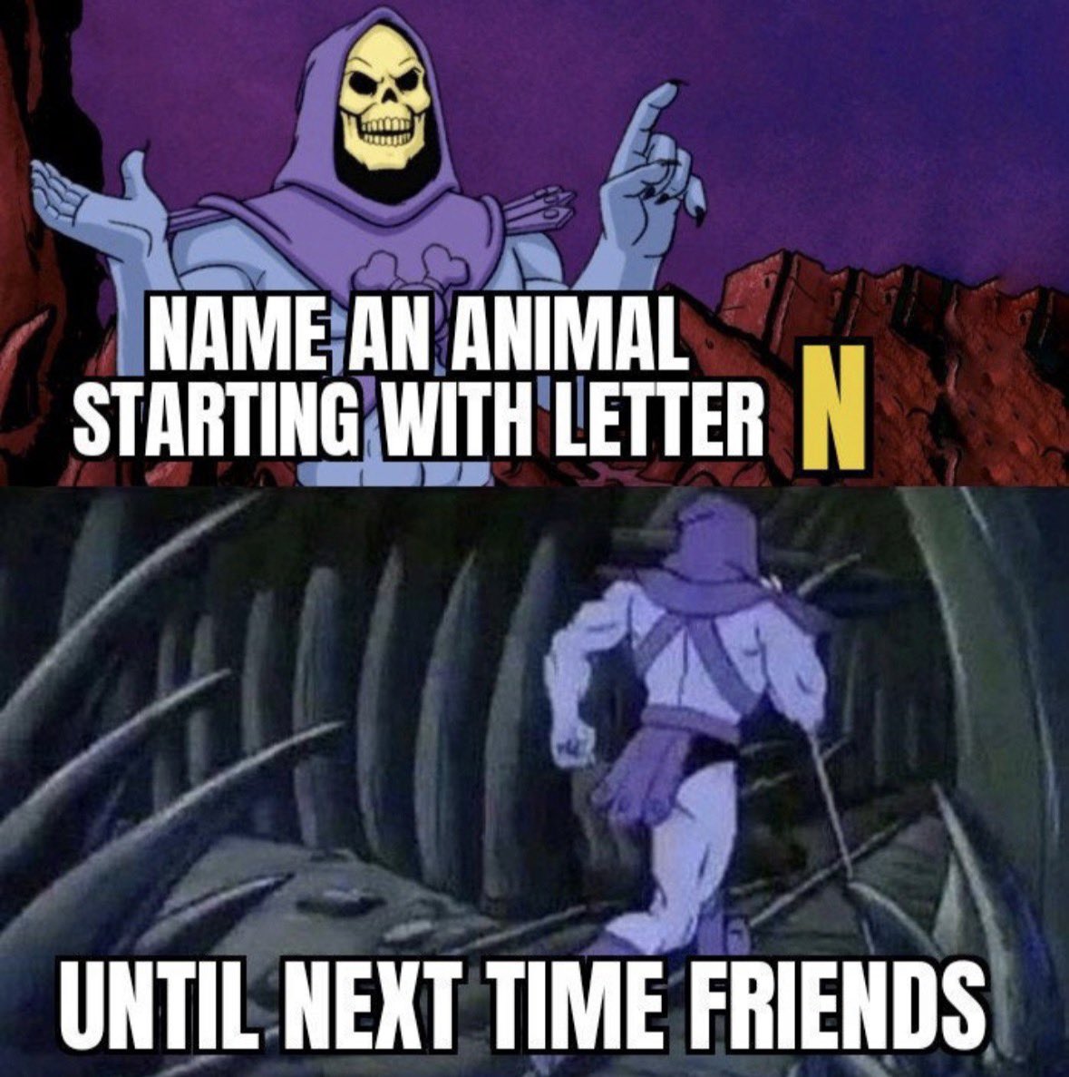 Pan Kotek 🦎 tweet media