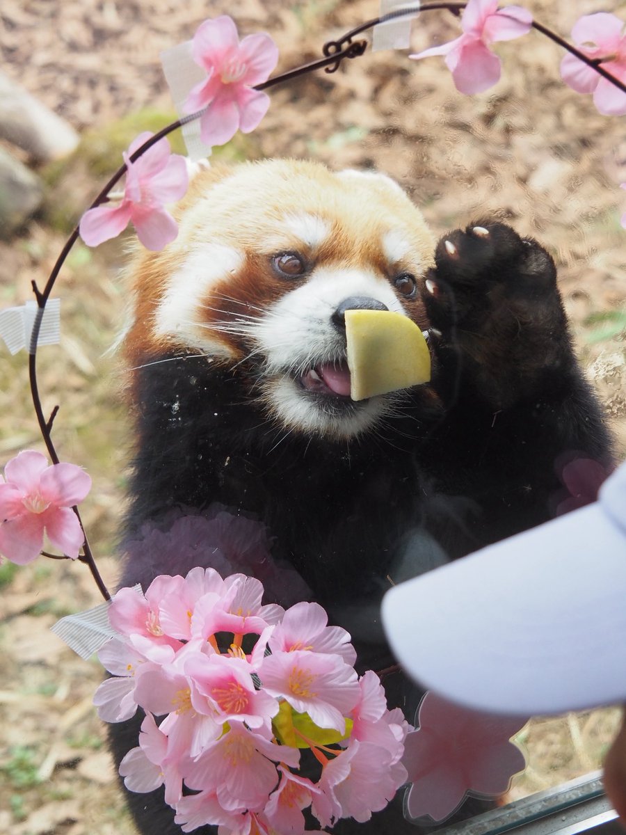 ⁿᵃᵍᵃᵒ tweet media