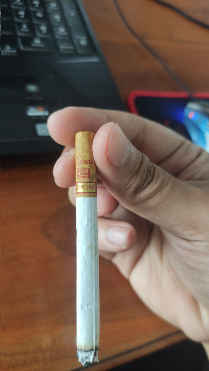 Stańczyk 🏇 tweet media