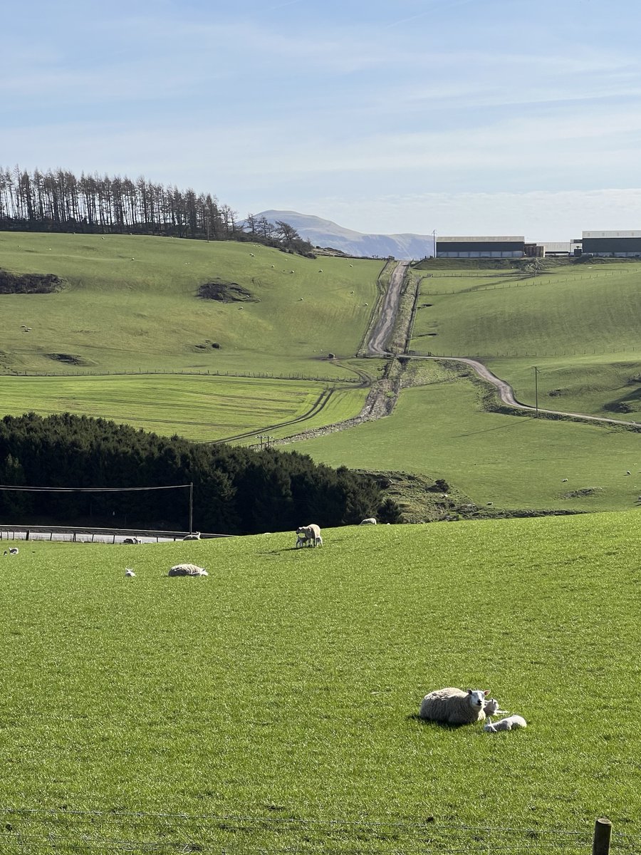 Here's The Plan tweet media