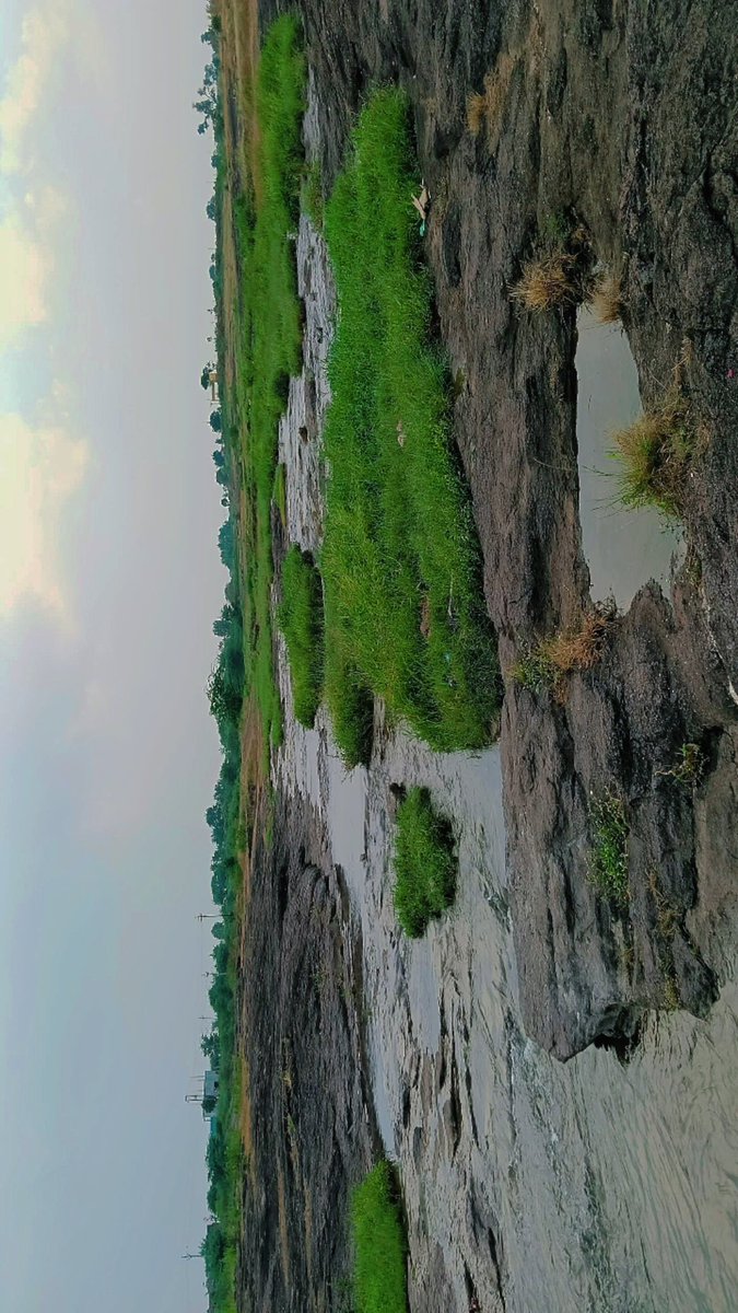 khadijaa✨ tweet media