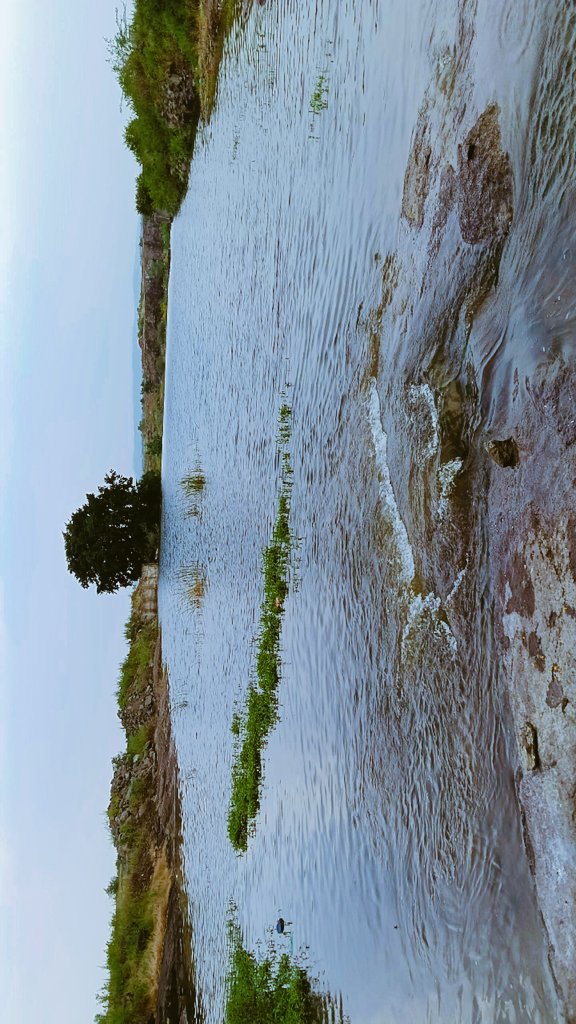 khadijaa✨ tweet media