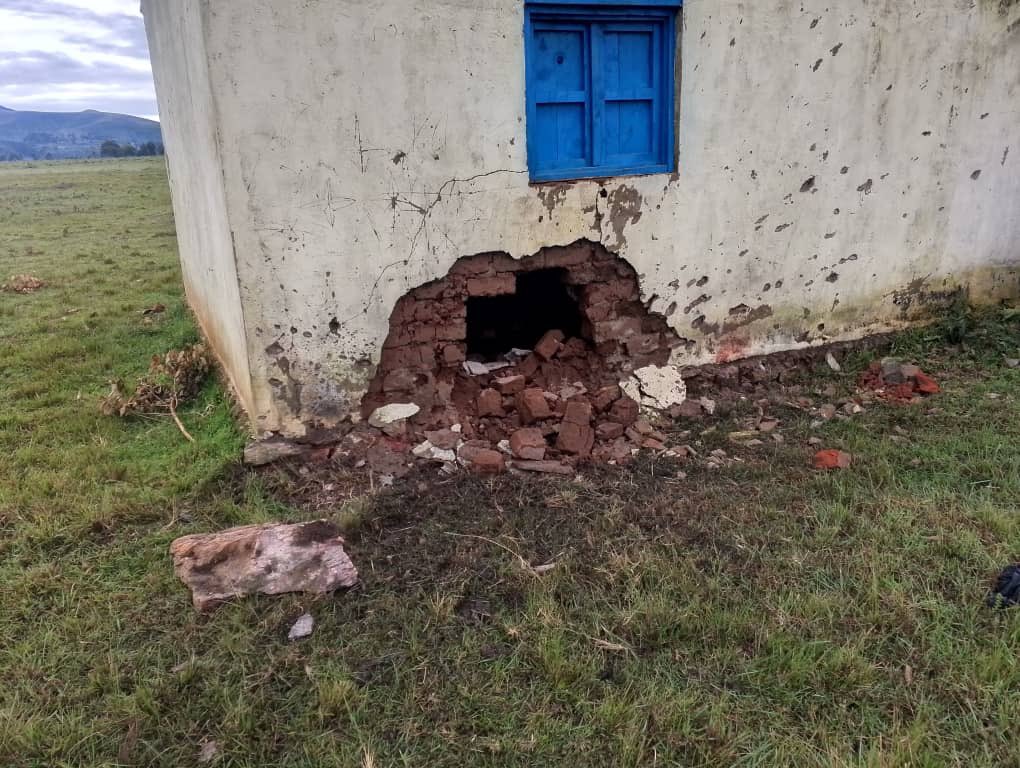 Imma Birere🇨🇩♈️ tweet media