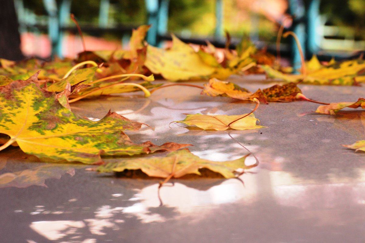 jajeroar's tweet image. Traded 30 mins of scrolling for morning walks—now wake up brighter, step lighter  #SmallWins #LifeShift