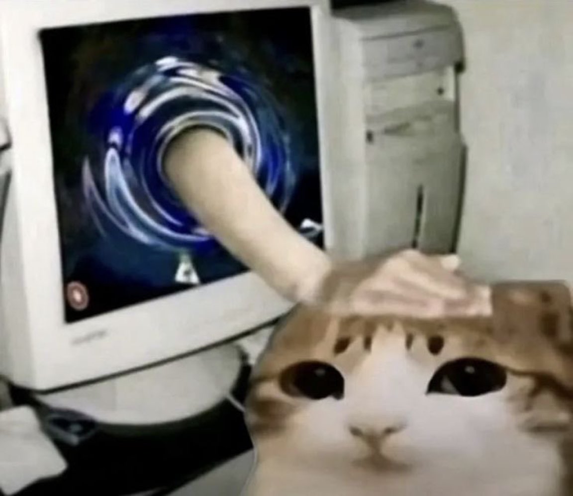 gatos fazendo gatices tweet media