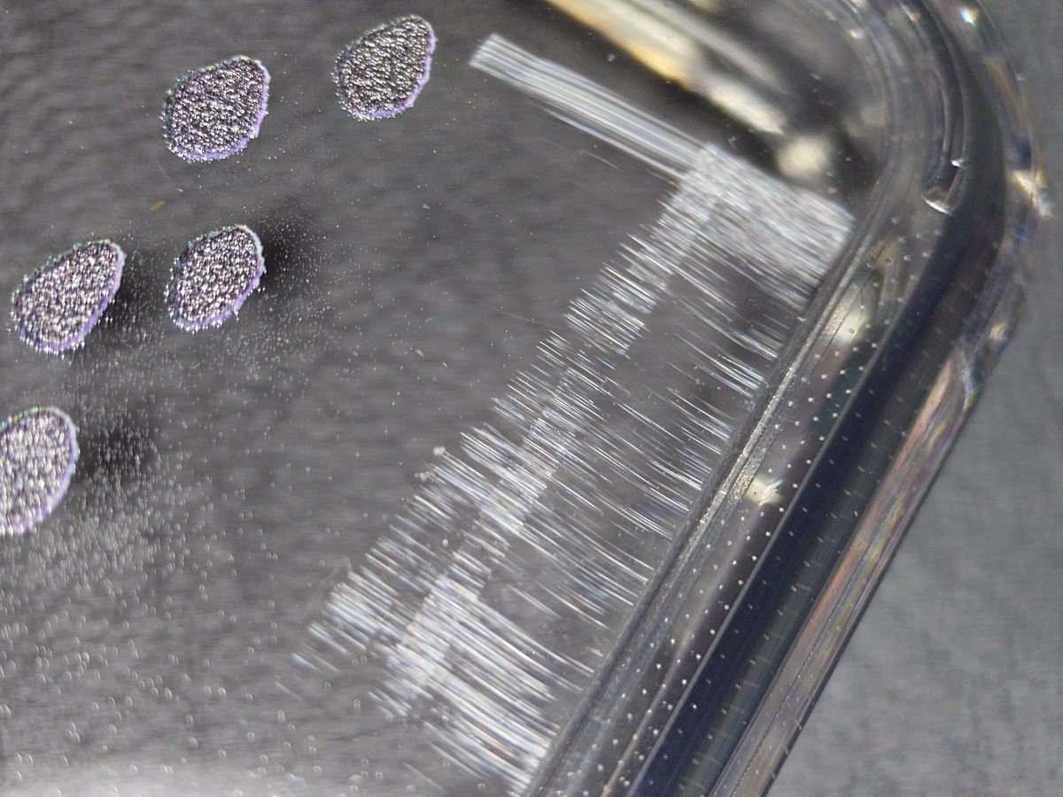 ピロ◢͟￨⁴⁶ tweet media