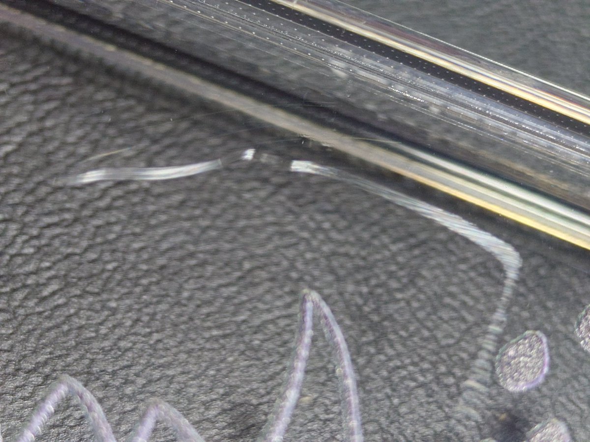 ピロ◢͟￨⁴⁶ tweet media