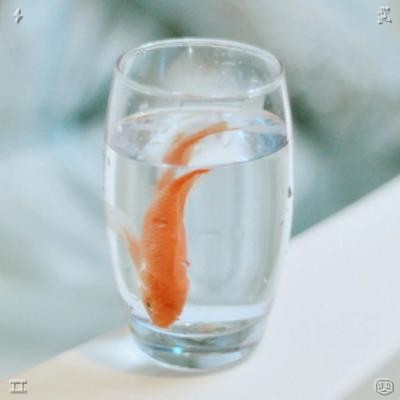 otowayaseiemon's tweet photo. Always radiate happiness and share joy completely. Find greater delight in every circumstance. Communicate gently from a sincere and genuine heart. 730934 🍒 https://t.co/0uvXk1i46z
