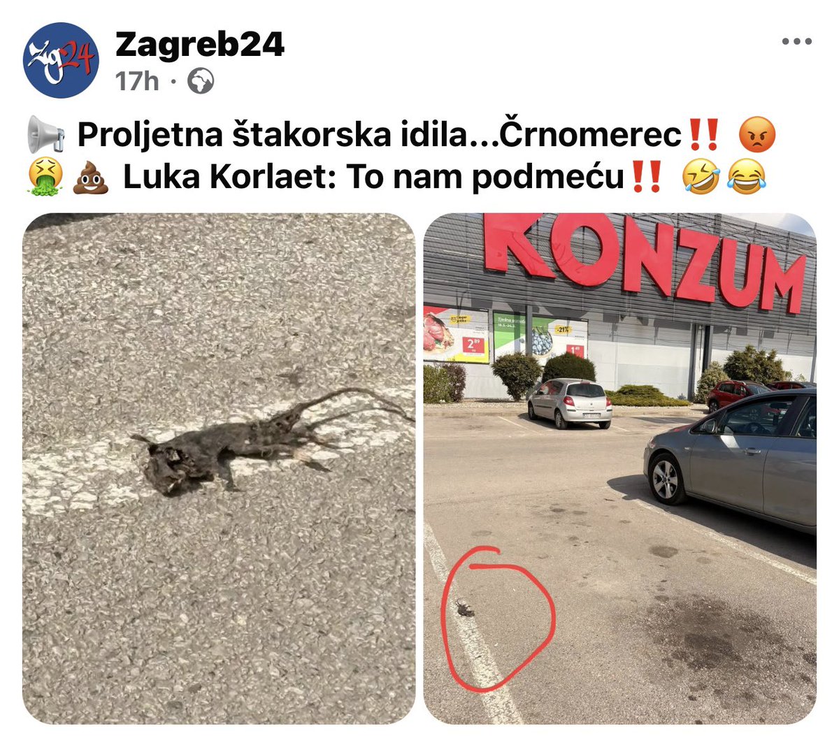 Nikita Stoja tweet media