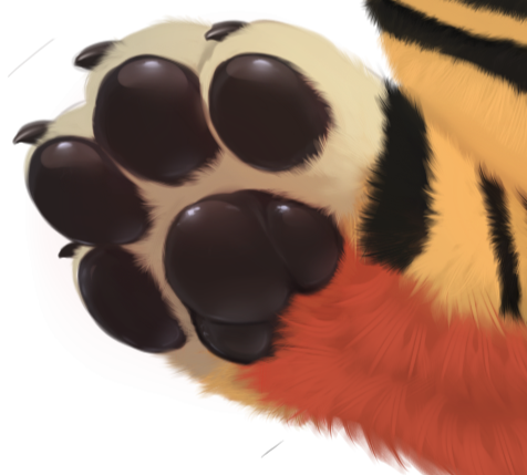 八狸 ( ba li ) 🐾🐾2026 UTFG🐾🐾2026 Infurnity tweet media