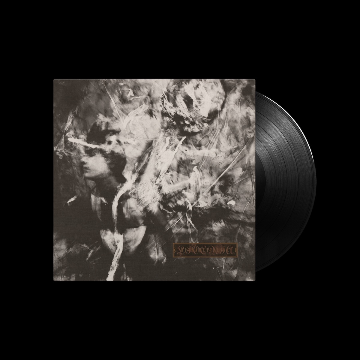 Norman Records tweet media