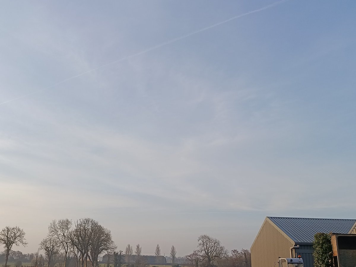 To the Moon! tweet media