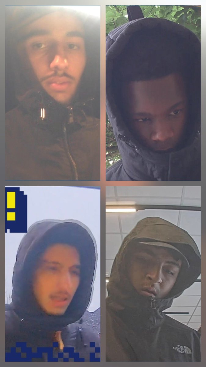 Opa des Vaderlands tweet media