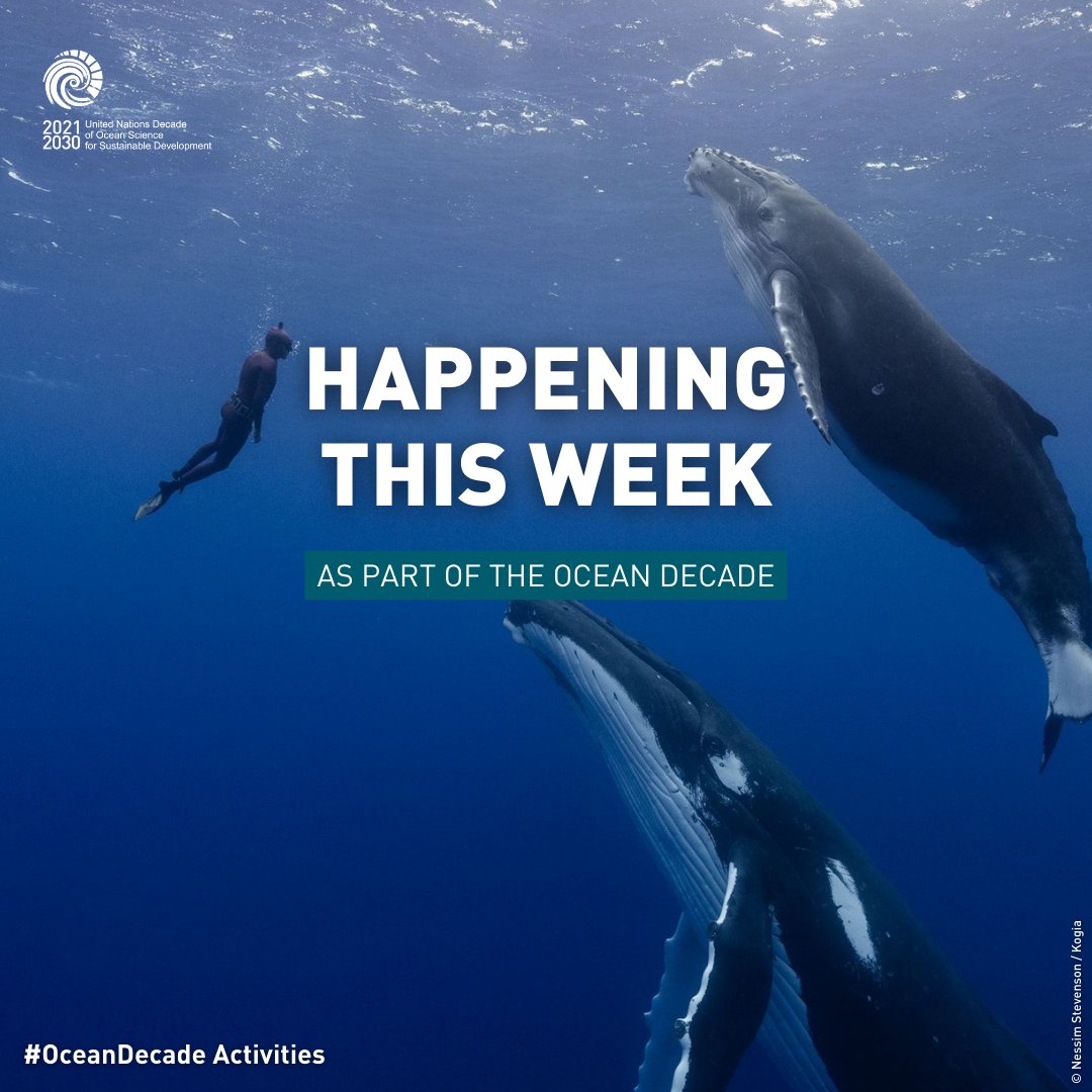 UN Ocean Decade tweet media