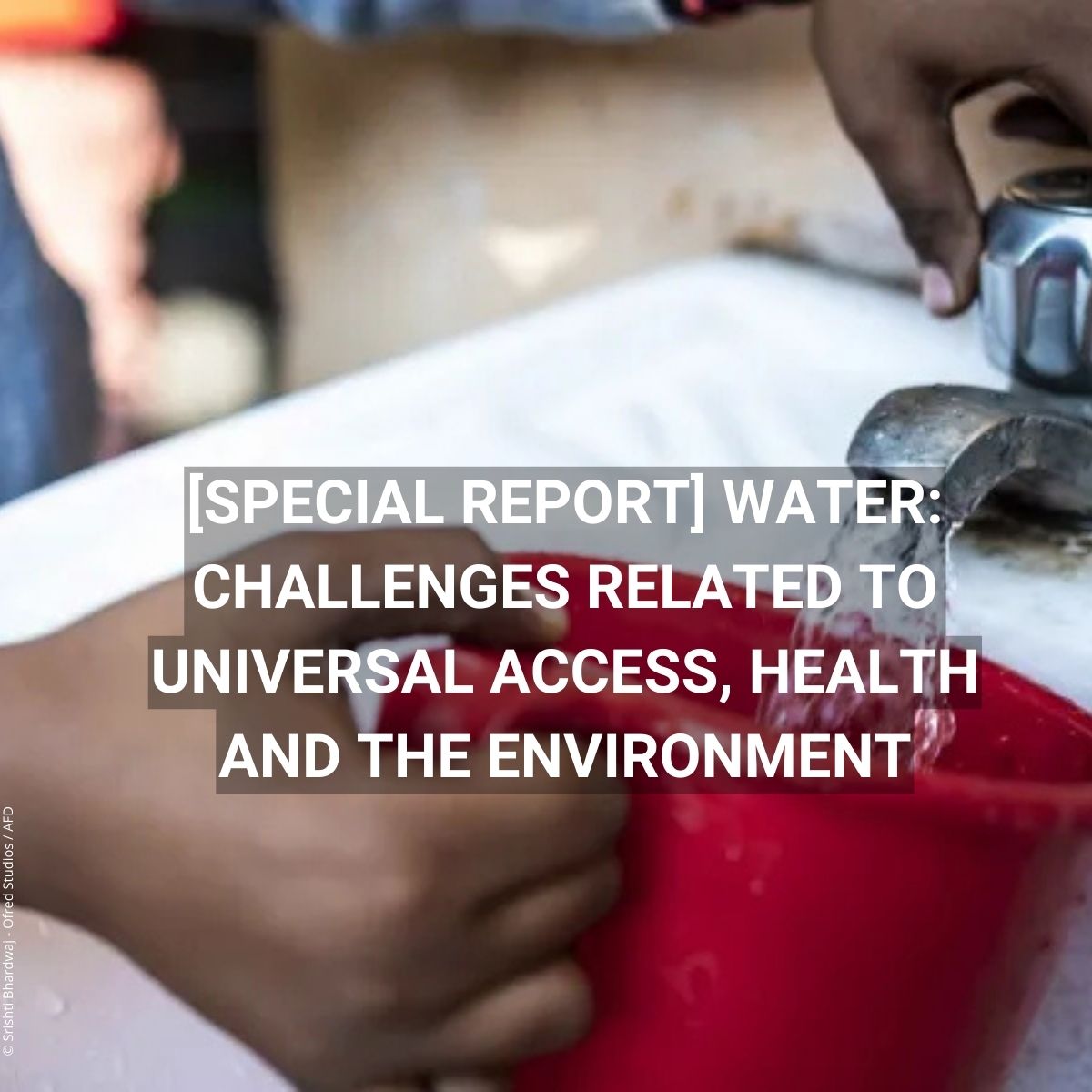 AFD_en 🇫🇷 🇪🇺 tweet media