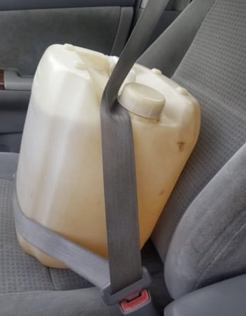 TrenchPips tweet media