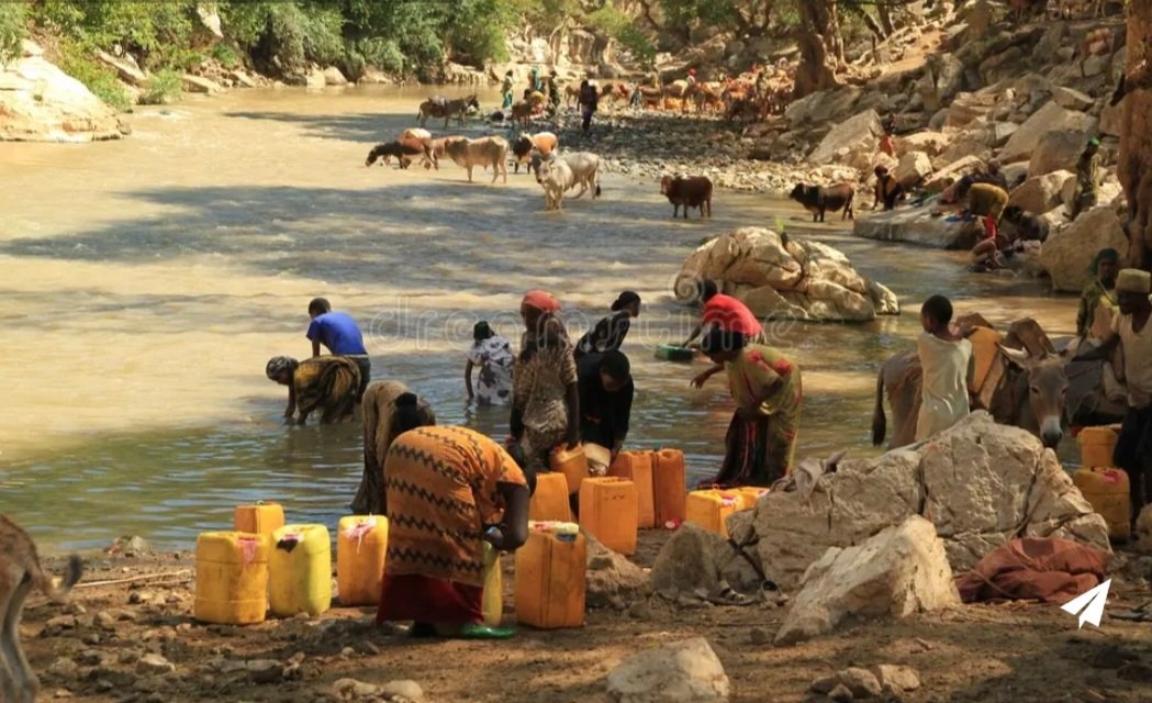 ቲቲ እንደርታዊት🦋💊🇸🇩 ⚪️🔴 tweet media
