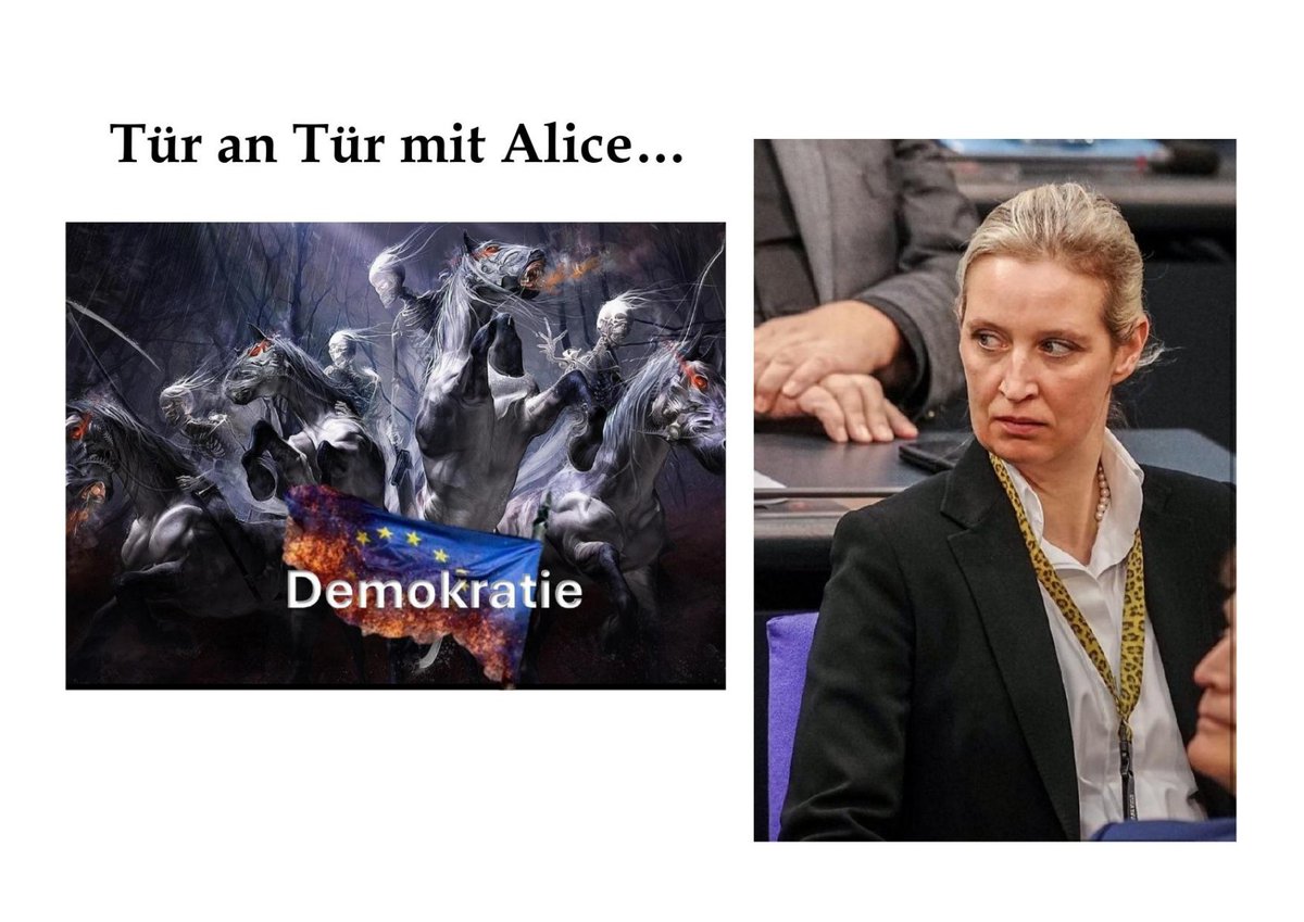 Werner Meier tweet media