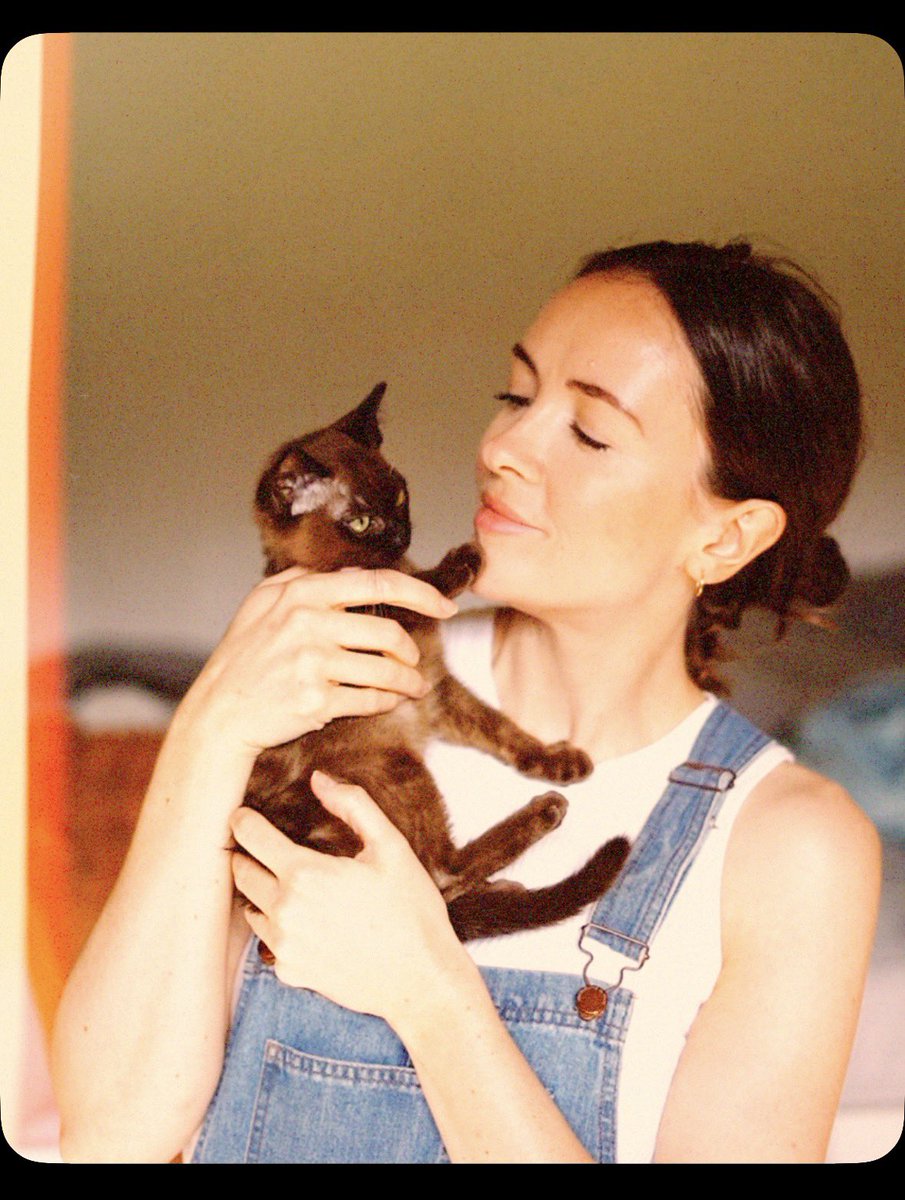 Sophie Green tweet media