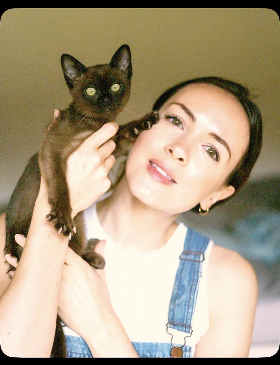 Sophie Green tweet media